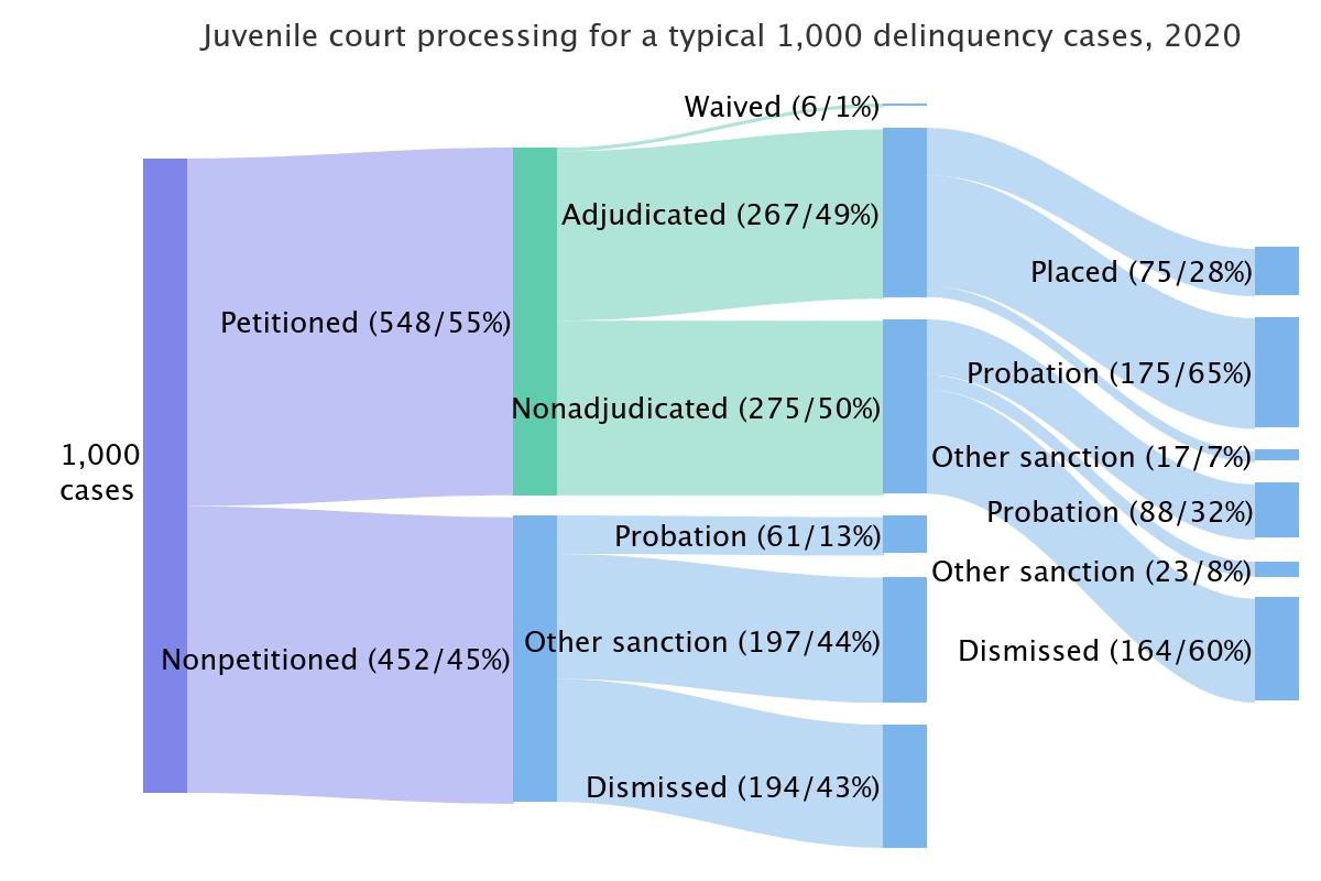 Juvenile Court Outcome Possibilities