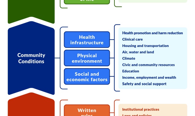 Graphic of the UWPHI model of health