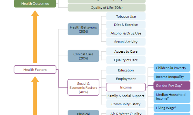 County Health Rankings model of health highlighting gender pay gap measure